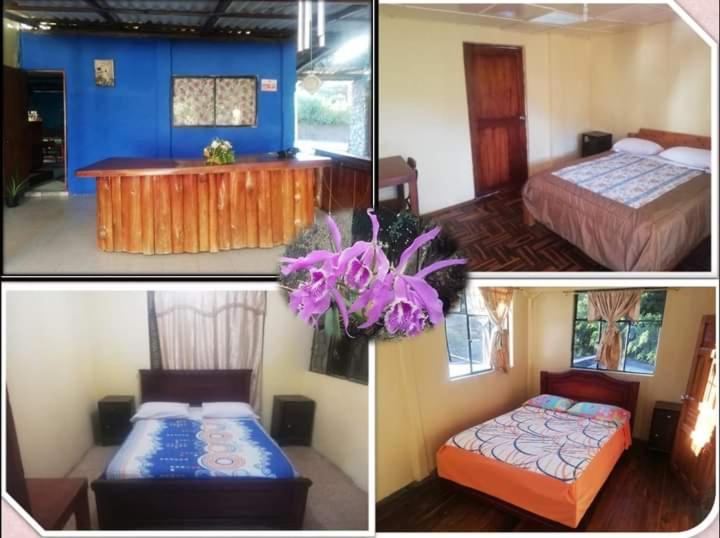 Residencial Valle Sagrado-Vilcabamba Dış mekan fotoğraf
